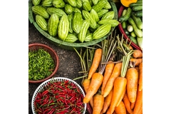 Image Image